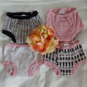 Set Of 4 Training Undies